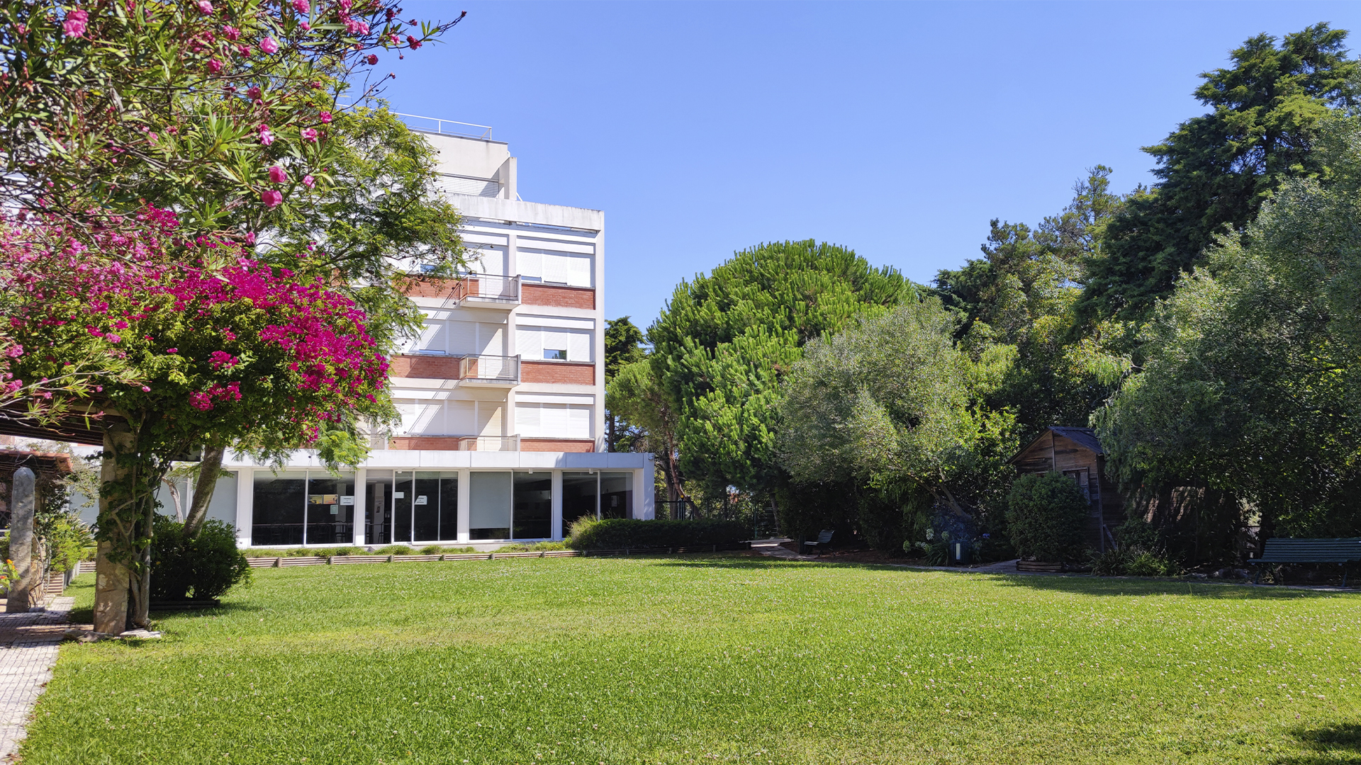 Edifício escolar e jardim com relva e flores com céu azul